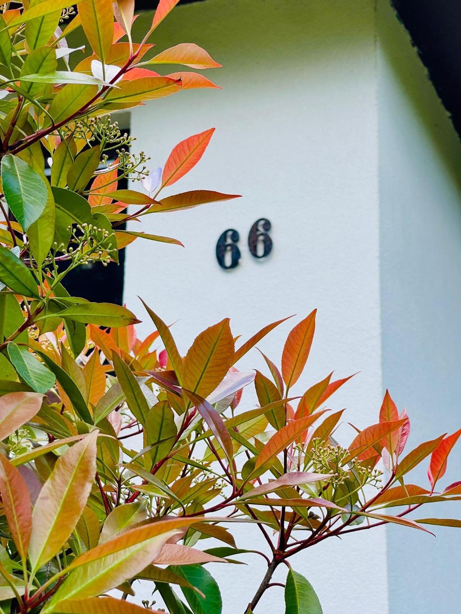 Ferienhaus Fuxbau Wohlau エクステリア 写真